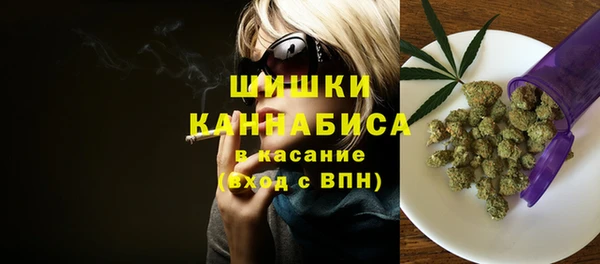 молекула духа Бронницы