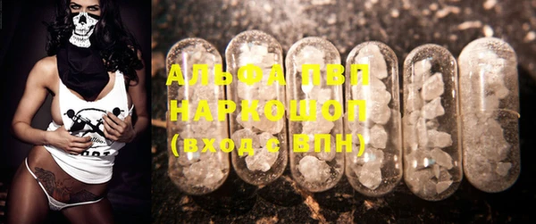 молекула духа Бронницы