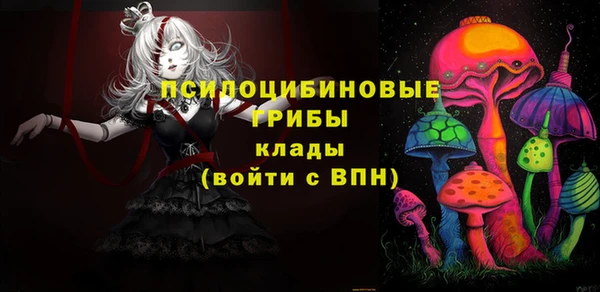 2c-b Михайловск