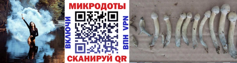 Галлюциногенные грибы GOLDEN TEACHER цена Венёв