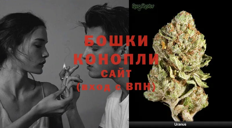 Конопля Ganja  Венёв 